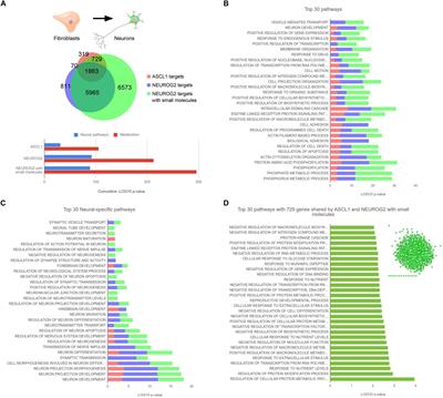 Direct Neuronal Reprogramming Reveals Unknown Functions for Known Transcription Factors